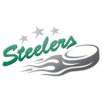 Logo Steelers Bietigheim-Bissingen Logo Steelers Bietigheim-Bissingen