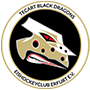 TecArt BlackDragons TecArt BlackDragons