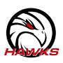 Hassfurt Hawks
