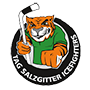 TAG Salzgitter Icefighters