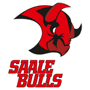 Saale Bulls Halle Saale Bulls Halle